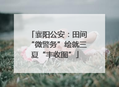 襄阳公安：田间“微警务”绘就三夏“丰收图”