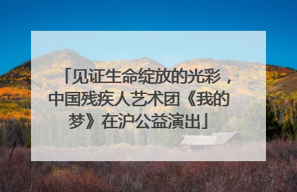 见证生命绽放的光彩，中国残疾人艺术团《我的梦》在沪公益演出