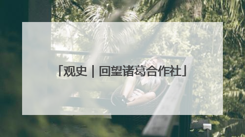 观史｜回望诸葛合作社