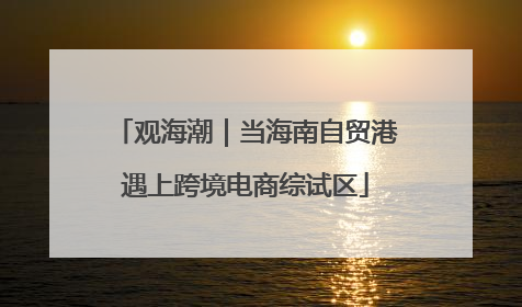 观海潮｜当海南自贸港遇上跨境电商综试区