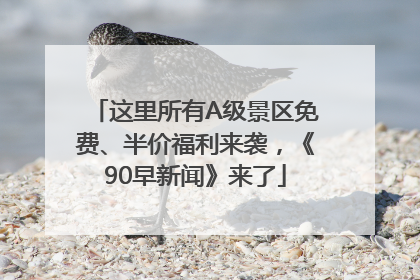 这里所有A级景区免费、半价福利来袭，《90早新闻》来了