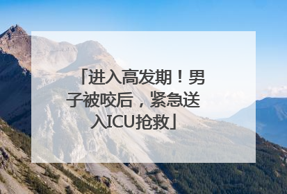 进入高发期！男子被咬后，紧急送入ICU抢救