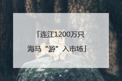 连江1200万只海马“游”入市场