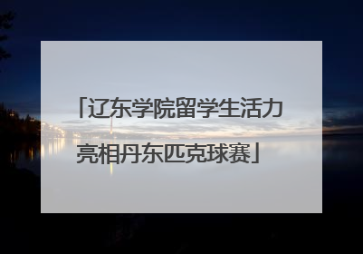 辽东学院留学生活力亮相丹东匹克球赛