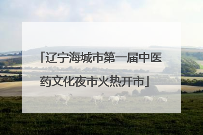 辽宁海城市第一届中医药文化夜市火热开市