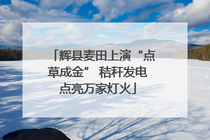 辉县麦田上演“点草成金” 秸秆发电点亮万家灯火