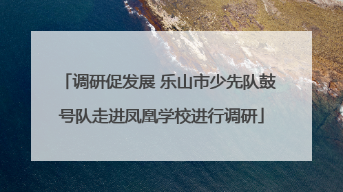 调研促发展 乐山市少先队鼓号队走进凤凰学校进行调研