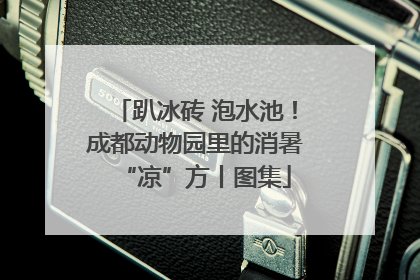趴冰砖 泡水池！成都动物园里的消暑“凉”方丨图集