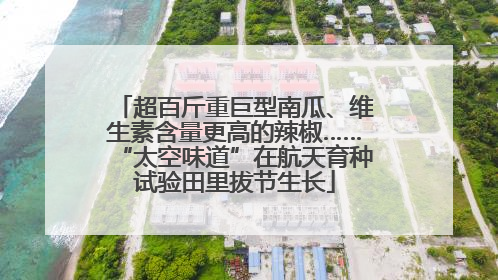 超百斤重巨型南瓜、维生素含量更高的辣椒……“太空味道”在航天育种试验田里拔节生长