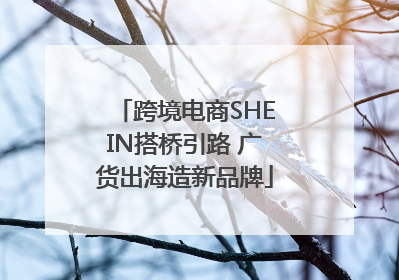 跨境电商SHEIN搭桥引路 广货出海造新品牌