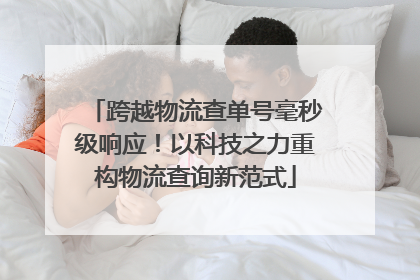 跨越物流查单号毫秒级响应！以科技之力重构物流查询新范式