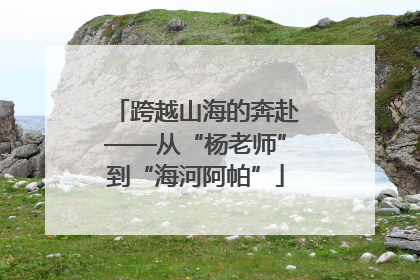 跨越山海的奔赴——从“杨老师”到“海河阿帕”