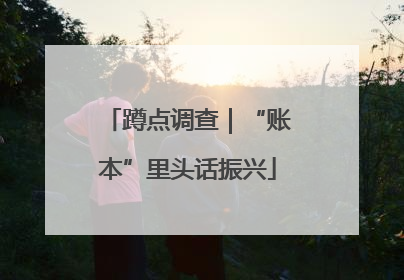 蹲点调查｜“账本”里头话振兴