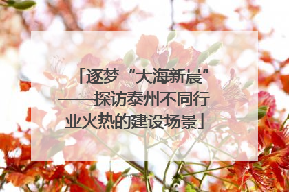 逐梦“大海新晨”——探访泰州不同行业火热的建设场景