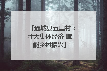 通城县五里村：壮大集体经济 赋能乡村振兴