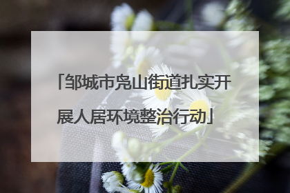 邹城市凫山街道扎实开展人居环境整治行动