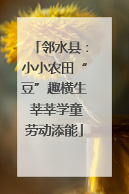 邻水县：小小农田“豆”趣横生 莘莘学童劳动添能