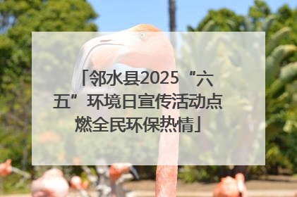 邻水县2025“六五”环境日宣传活动点燃全民环保热情