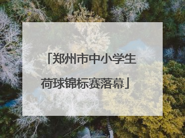 郑州市中小学生荷球锦标赛落幕