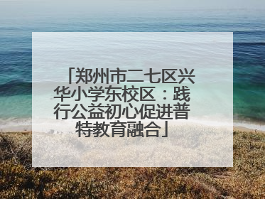 郑州市二七区兴华小学东校区：践行公益初心促进普特教育融合