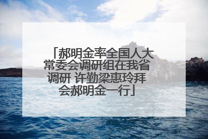 郝明金率全国人大常委会调研组在我省调研 许勤梁惠玲拜会郝明金一行