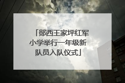 郧西王家坪红军小学举行一年级新队员入队仪式