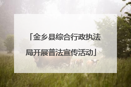 金乡县综合行政执法局开展普法宣传活动