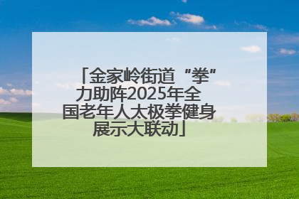 金家岭街道“拳”力助阵2025年全国老年人太极拳健身展示大联动