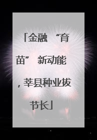 金融 “育苗” 新动能，莘县种业拔节长