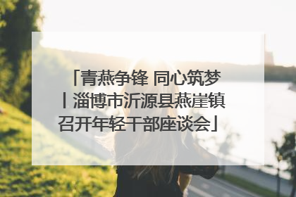 青燕争锋 同心筑梦丨淄博市沂源县燕崖镇召开年轻干部座谈会