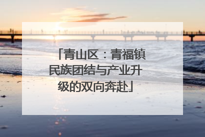 青山区：青福镇民族团结与产业升级的双向奔赴