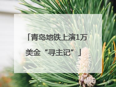 青岛地铁上演1万美金“寻主记”