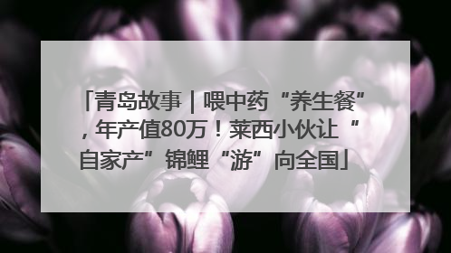 青岛故事｜喂中药“养生餐”，年产值80万！莱西小伙让“自家产”锦鲤“游”向全国