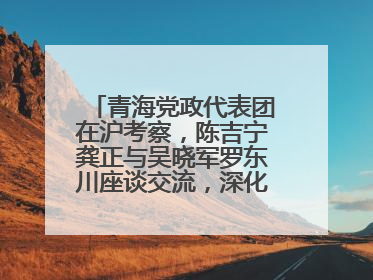 青海党政代表团在沪考察，陈吉宁龚正与吴晓军罗东川座谈交流，深化合作对接