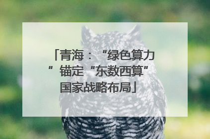 青海：“绿色算力”锚定“东数西算”国家战略布局