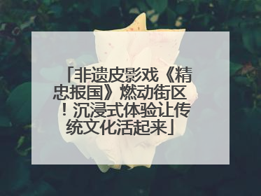 非遗皮影戏《精忠报国》燃动街区！沉浸式体验让传统文化活起来