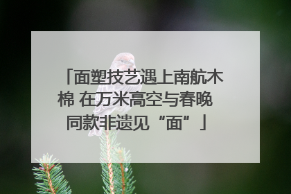 面塑技艺遇上南航木棉 在万米高空与春晚同款非遗见“面”