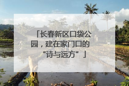长春新区口袋公园，建在家门口的“诗与远方”