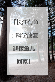 长江有鱼：科学放流 迎接鱼儿回家