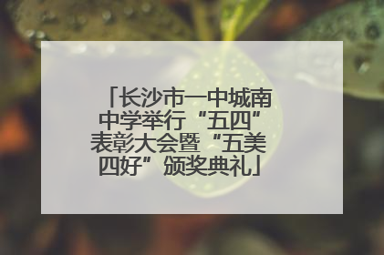 长沙市一中城南中学举行“五四”表彰大会暨“五美四好”颁奖典礼