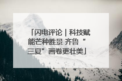 闪电评论｜科技赋能芒种胜景 齐鲁“三夏”画卷更壮美