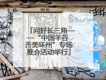 问好长三角——“中国羊谷 善美环州”专场推介活动举行