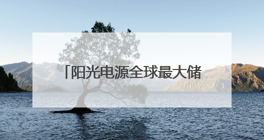 阳光电源全球最大储能系统下线 单柜容量破12.5MWh