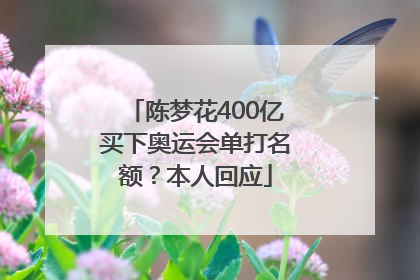 陈梦花400亿买下奥运会单打名额？本人回应
