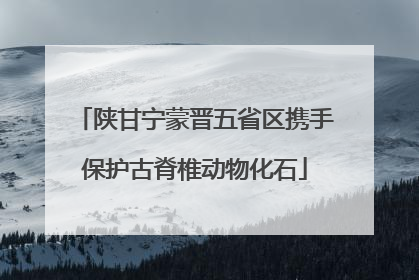 陕甘宁蒙晋五省区携手保护古脊椎动物化石