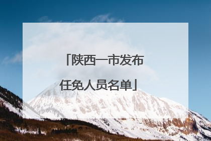 陕西一市发布任免人员名单