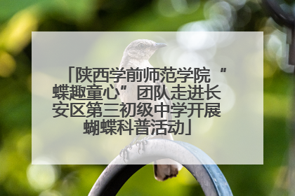 陕西学前师范学院“蝶趣童心”团队走进长安区第三初级中学开展蝴蝶科普活动