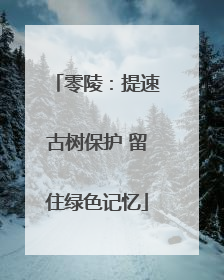 零陵：提速古树保护 留住绿色记忆