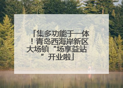 集多功能于一体！青岛西海岸新区大场镇“场享益站”开业啦
