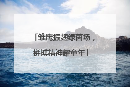 雏鹰振翅绿茵场，拼搏精神耀童年